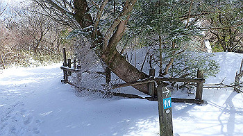 p2190482_thumb.jpg