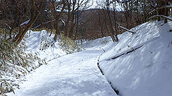 p2190484_thumb.jpg