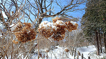 p2190485_thumb.jpg