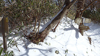 p2190494_thumb.jpg