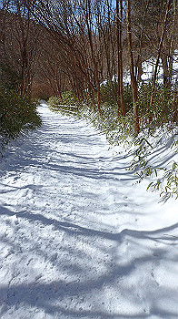 p2190496_thumb.jpg