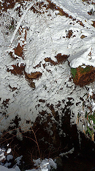 p2190506_thumb.jpg