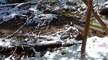 p2190509_thumb.jpg