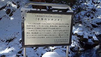 p2190512_thumb.jpg