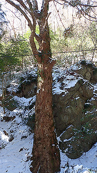 p2190513_thumb.jpg
