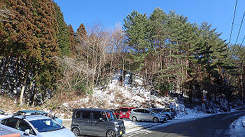 p2190519_thumb.jpg