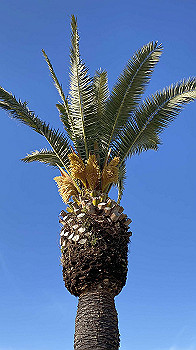 20210303_063336069_ios_thumb.jpg