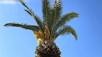 20210303_063401924_ios_thumb.jpg