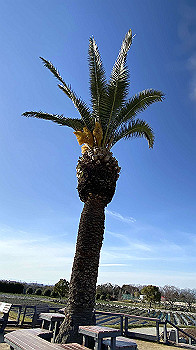 20210303_063418104_ios_thumb.jpg