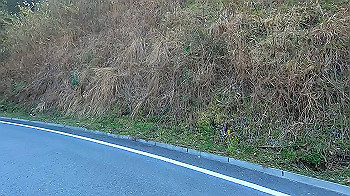 gx011597_x264.mp4_snapshot_05.04_thumb.jpg