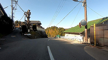 gx011606_x264.mp4_snapshot_00.49_thumb.jpg