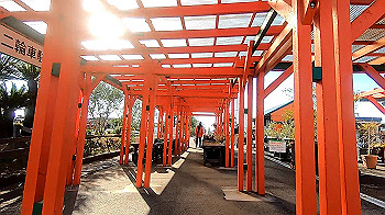 gx011609_x264.mp4_snapshot_05.56_thumb.jpg