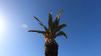 gx011610_x264.mp4_snapshot_00.00_thumb.jpg