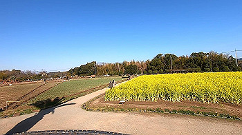 gx011610_x264.mp4_snapshot_00.14_thumb.jpg