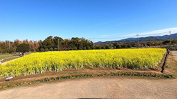 gx011610_x264.mp4_snapshot_00.17_thumb.jpg