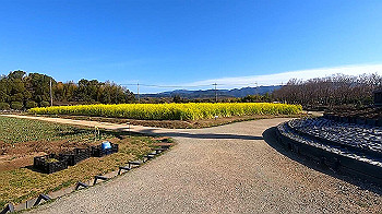 gx011611_x264.mp4_snapshot_00.01_thumb.jpg