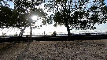 gx011614_x264.mp4_snapshot_05.10_thumb.jpg