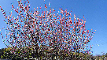 p3030009_thumb.jpg