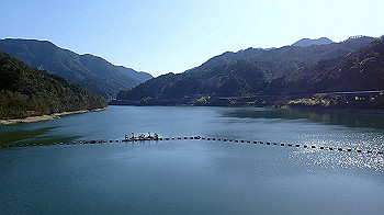 p3030025_thumb.jpg