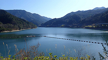 p3030032_thumb.jpg