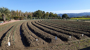 p3030043_thumb.jpg