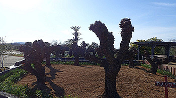 p3030044_thumb.jpg