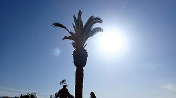 p3030045_thumb.jpg