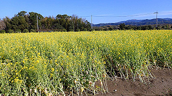 p3030046_thumb.jpg