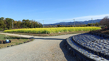 p3030048_thumb.jpg