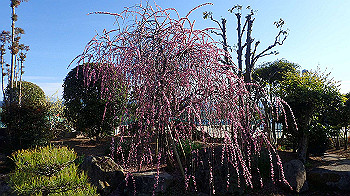 p3030051_thumb.jpg