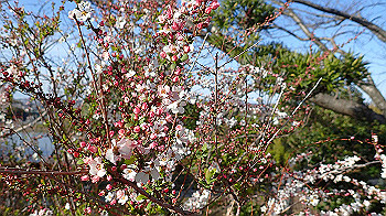 p3030053_thumb.jpg