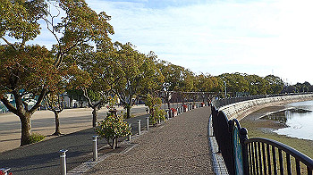 p3030056_thumb.jpg