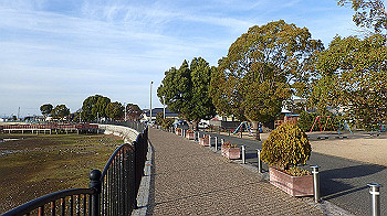 p3030057_thumb.jpg