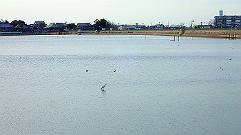 p3030065_thumb.jpg