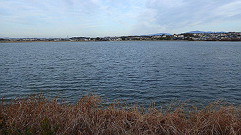 p3030070_thumb.jpg