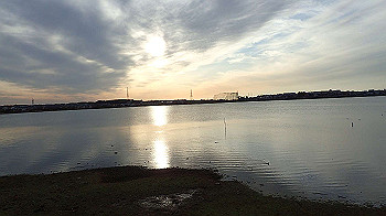 p3030073_thumb.jpg