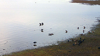 p3030076_thumb.jpg