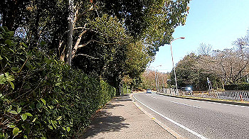gx011620.mp4_snapshot_00.15_thumb.jpg