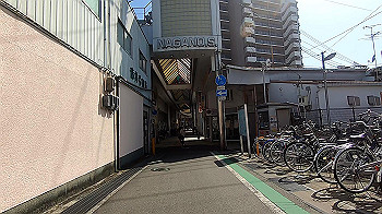 gx011621.mp4_snapshot_03.35_thumb.jpg