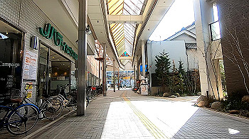 gx011621.mp4_snapshot_03.52_thumb.jpg