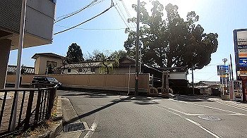 gx011622.mp4_snapshot_00.00_thumb.jpg