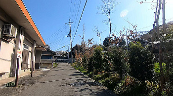 gx011623.mp4_snapshot_07.25_thumb.jpg