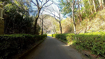 gx011632.mp4_snapshot_00.53_thumb.jpg
