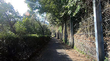 gx011632.mp4_snapshot_01.43_thumb.jpg