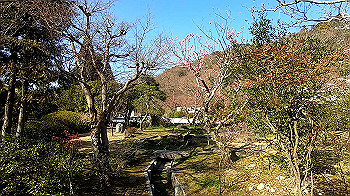 gx011632.mp4_snapshot_03.32_thumb.jpg