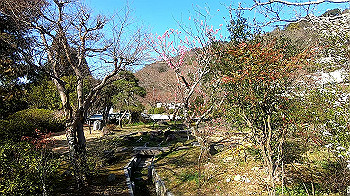 gx011632.mp4_snapshot_03.38_thumb.jpg