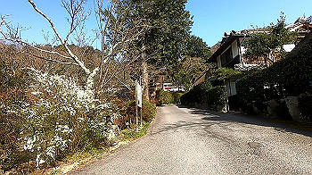 gx011632.mp4_snapshot_04.00_thumb.jpg