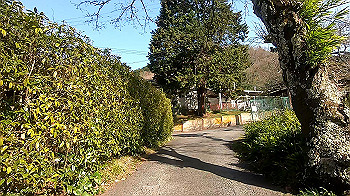 gx011632.mp4_snapshot_04.20_thumb.jpg