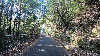 gx011632.mp4_snapshot_07.56_thumb.jpg