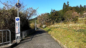 gx011632.mp4_snapshot_09.06_thumb.jpg